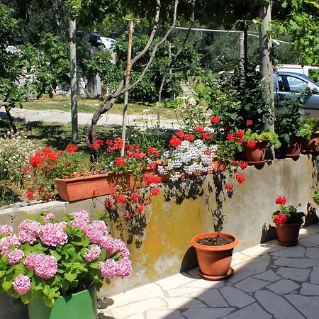 Double Sladjenovici 2161d 3*