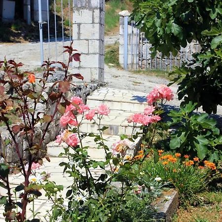 Double Sladjenovici 2161d Gæstehus Slano